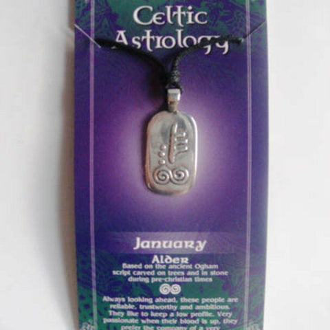 Irish Pewter Celtic Astrology Pendant - January- Alder symbol